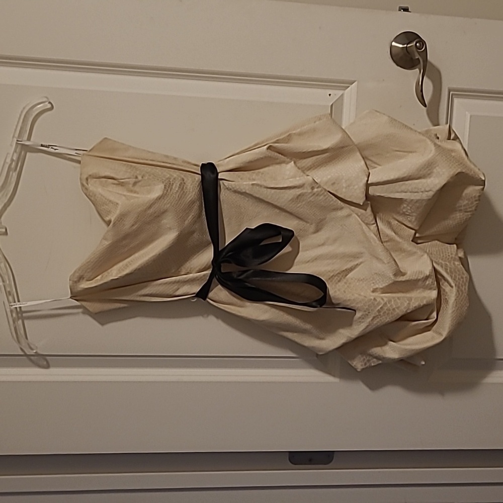 3/$27 Maddy Paige champagne mini dress